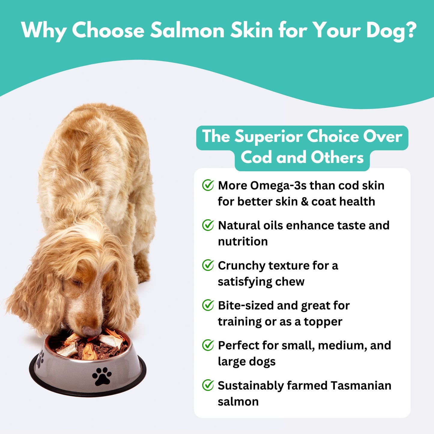 why choose salmon skin for your dog