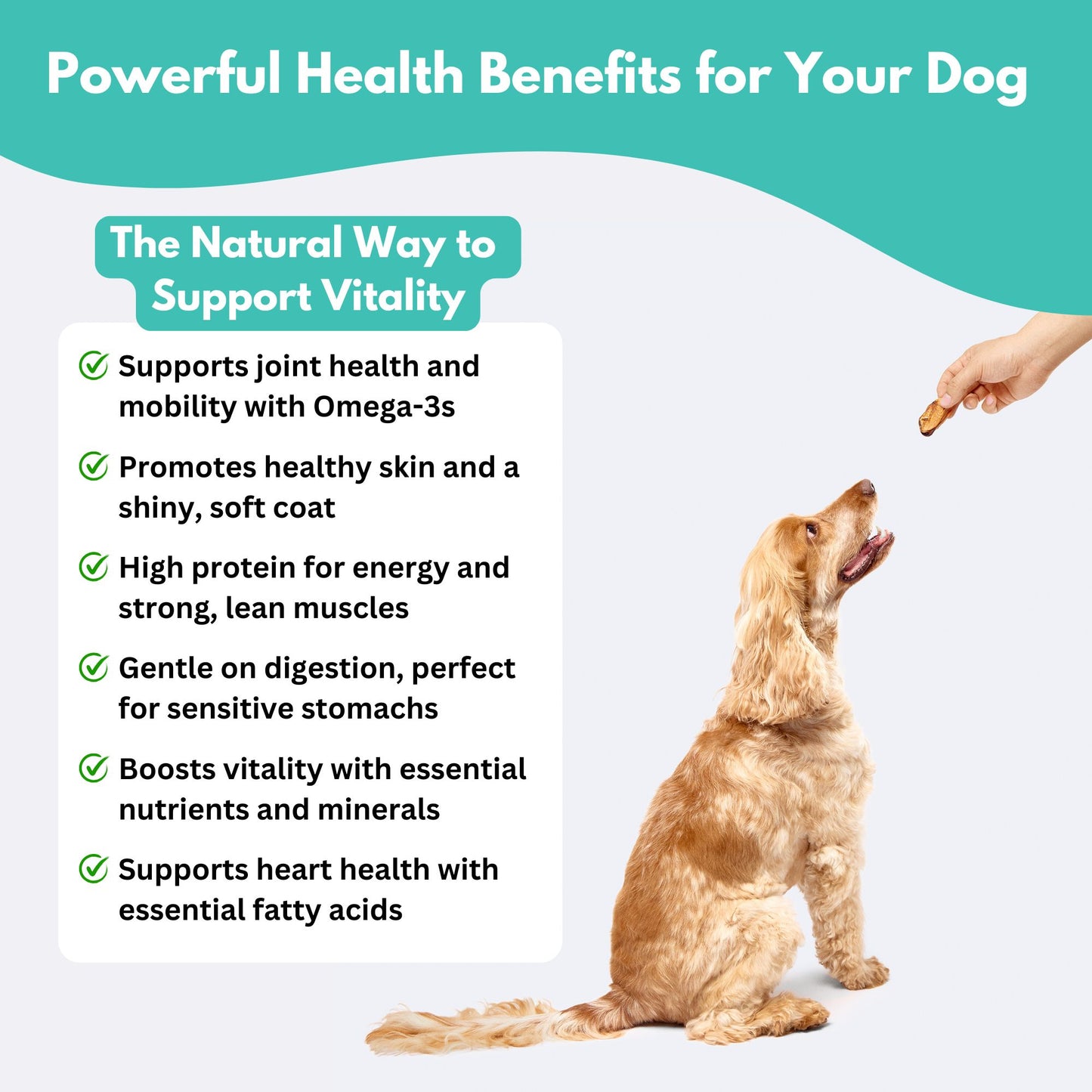 salmon skin dog treats - powerful health benefits