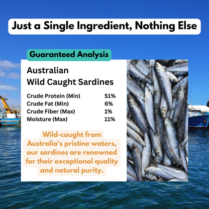 Wild Caught Australian Sardine Dog Treats