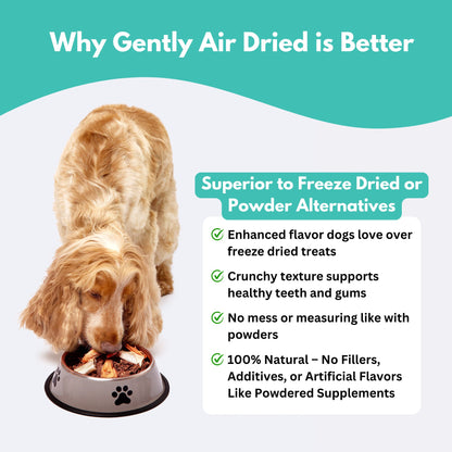 New Zealand Green Lipped Mussel Dog Treats - why gently air dried is better
