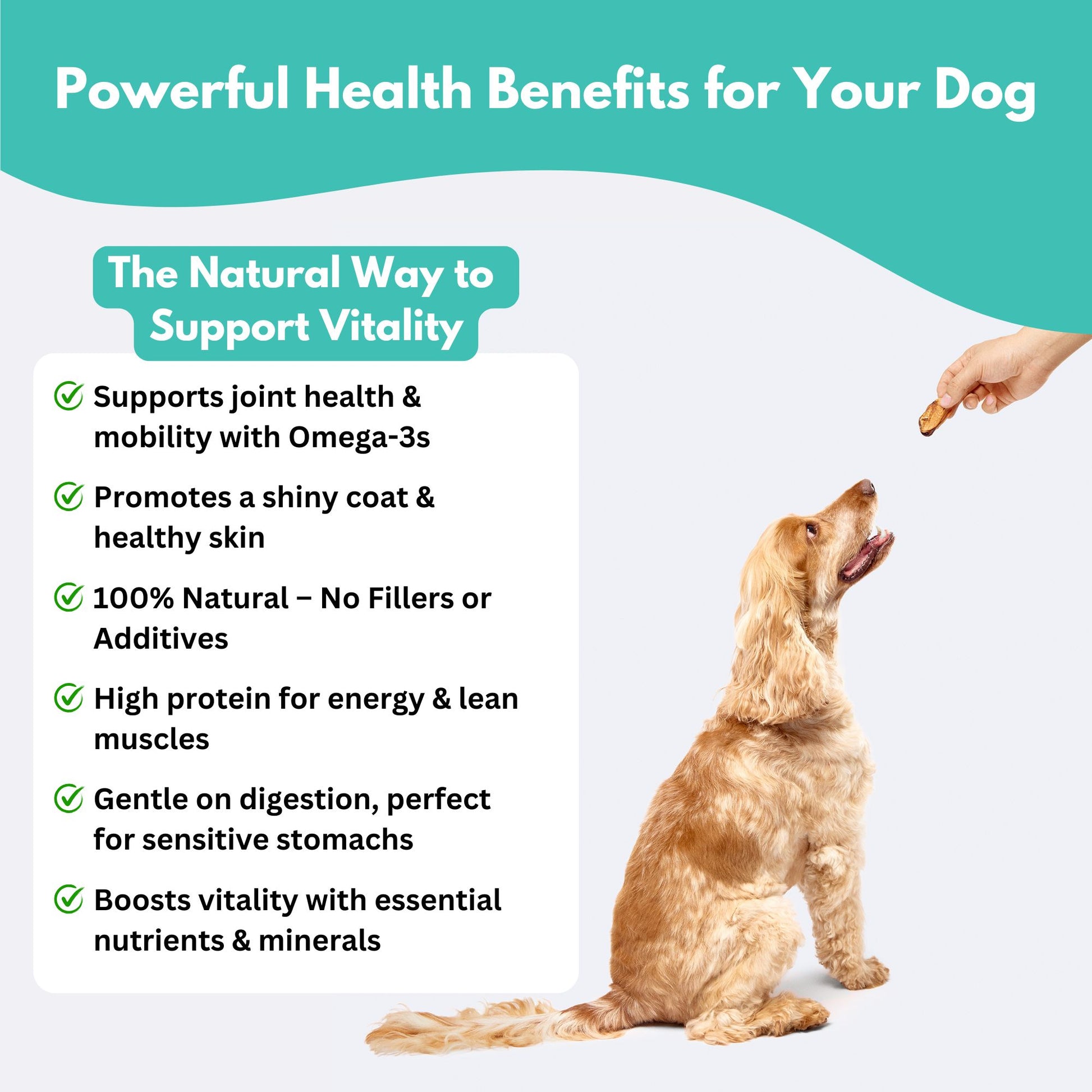 New Zealand Green Lipped Mussel Dog Treats - powerful health benefits