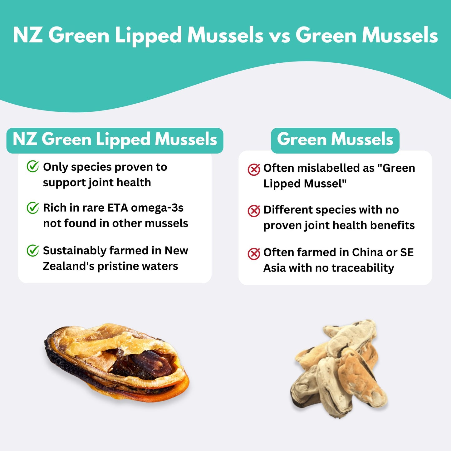 New Zealand Green Lipped Mussel Treats for Dogs & Cats