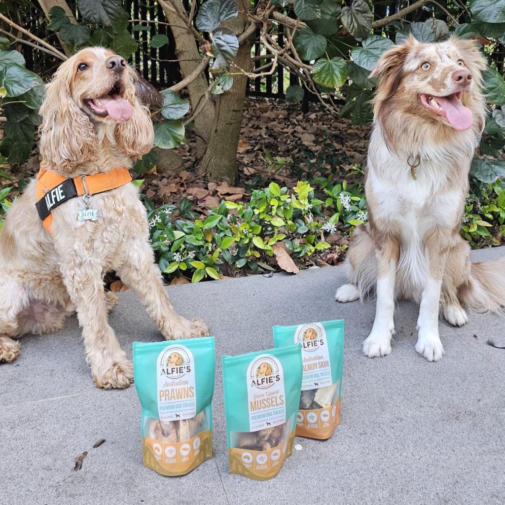 two dogs sitting in front of Alfie's Treats dog treats
